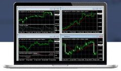 MT4系统搭建之辨别软件真伪