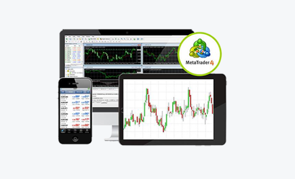 外汇平台搭建：新手如何入市